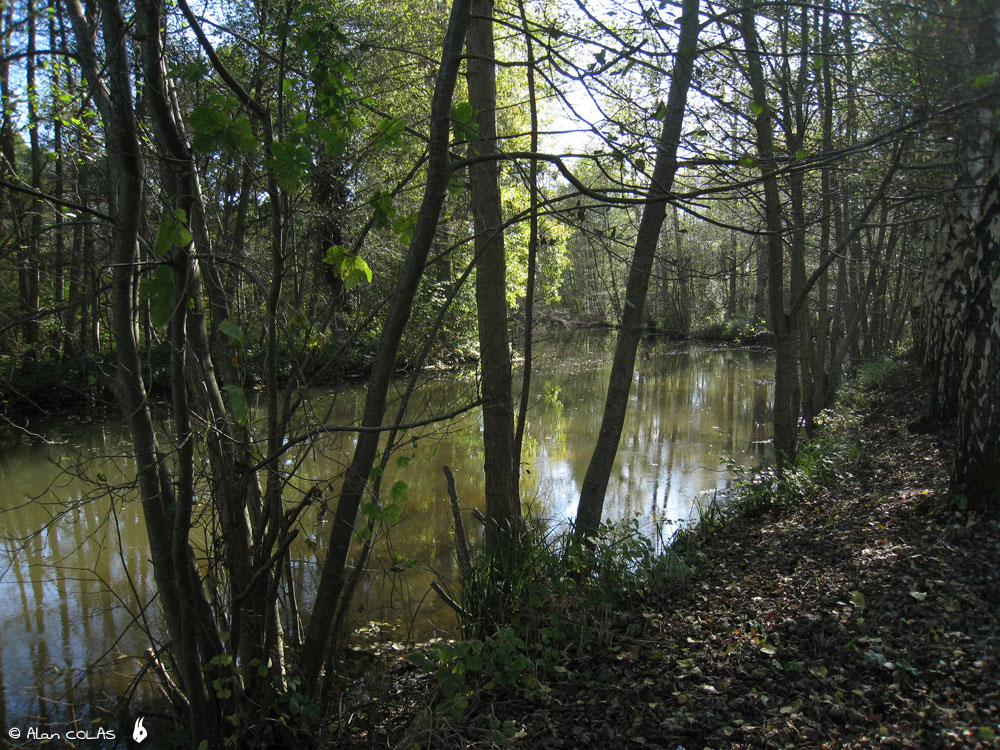 La Bievre et ses moulins